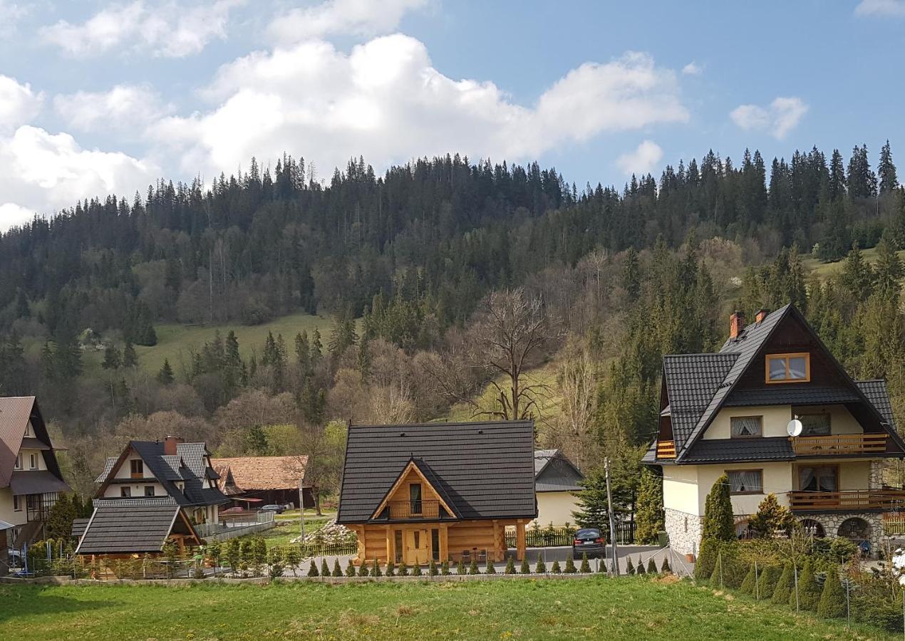 Willa Tatrzańskie Domki Poronin Zewnętrze zdjęcie